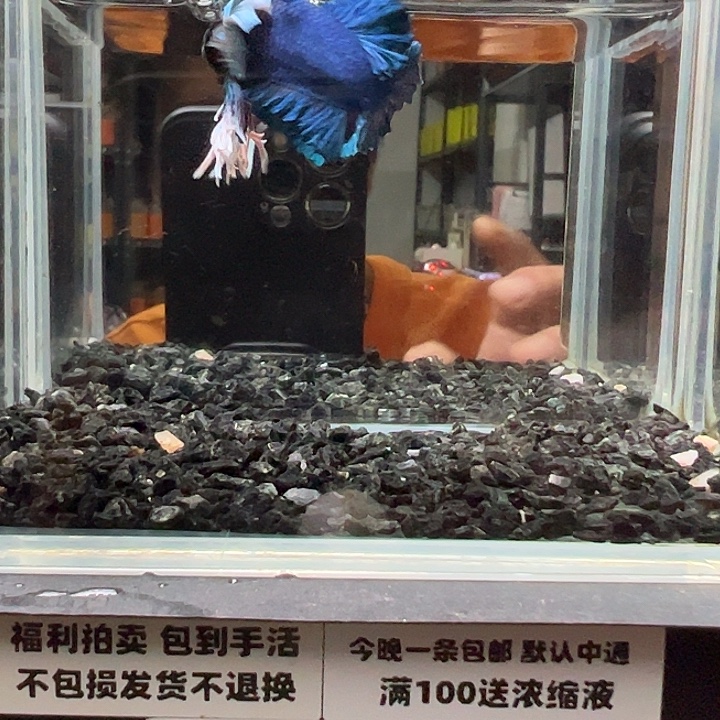 斗鱼跑單拉黑28日40