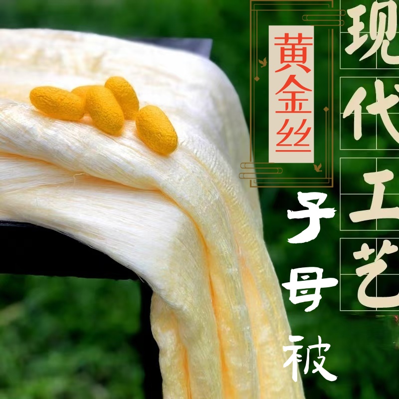 【子母被】黄金桑蚕丝被二合一子母被四季皆宜手工黄金丝被子冬款