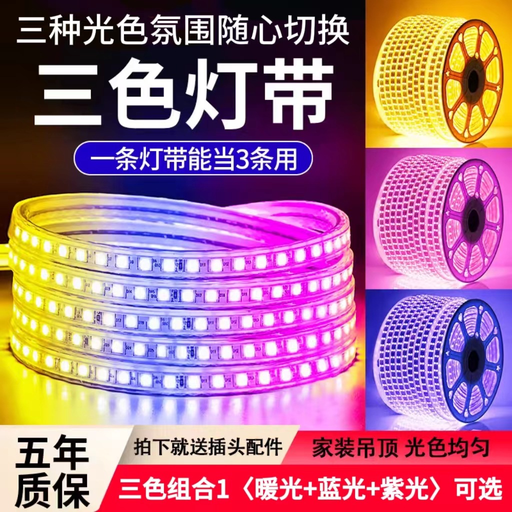 三色变光超亮变光灯LED光源灯条室内装饰户外防水220V线条灯带