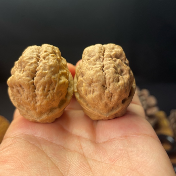 39尺寸  无名5（云南铁核桃一物一图产地直发）