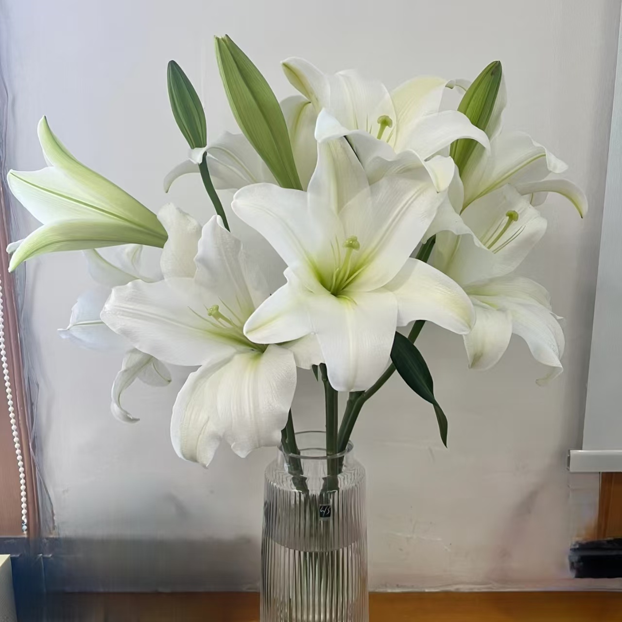 5枝白铁炮双头百合10个花苞 小花苞无香【两单顺丰或京东快递】