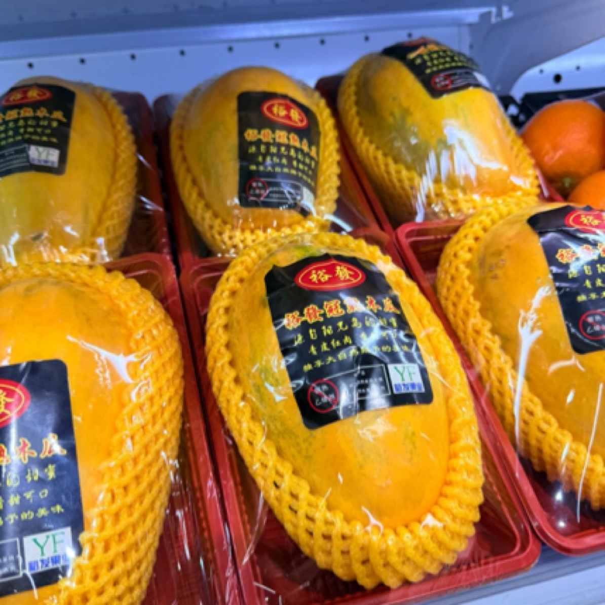 树上熟牛奶木瓜2斤左右