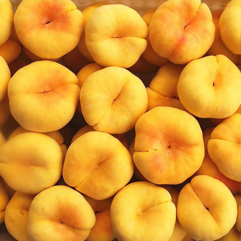[买一箱送一箱]平谷本地黄毛蟠桃 纯甜3-6斤北京市