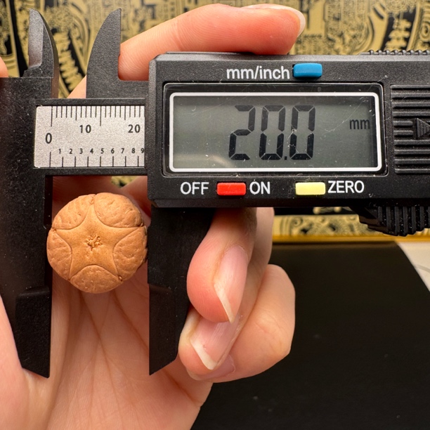 尼泊尔凤眼菩提五星单颗20左右