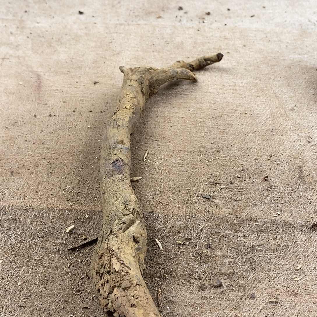 木金**?黄花梨随形料子