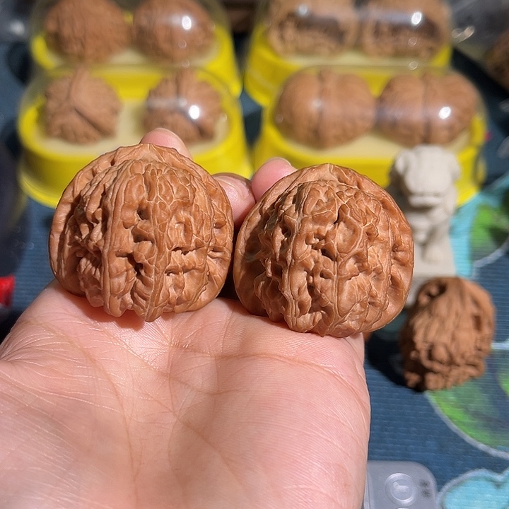 核桃41全品老树白狮子