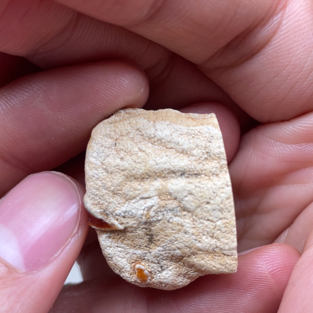 阿***旺定制琥珀未镶嵌天然蜜蜡