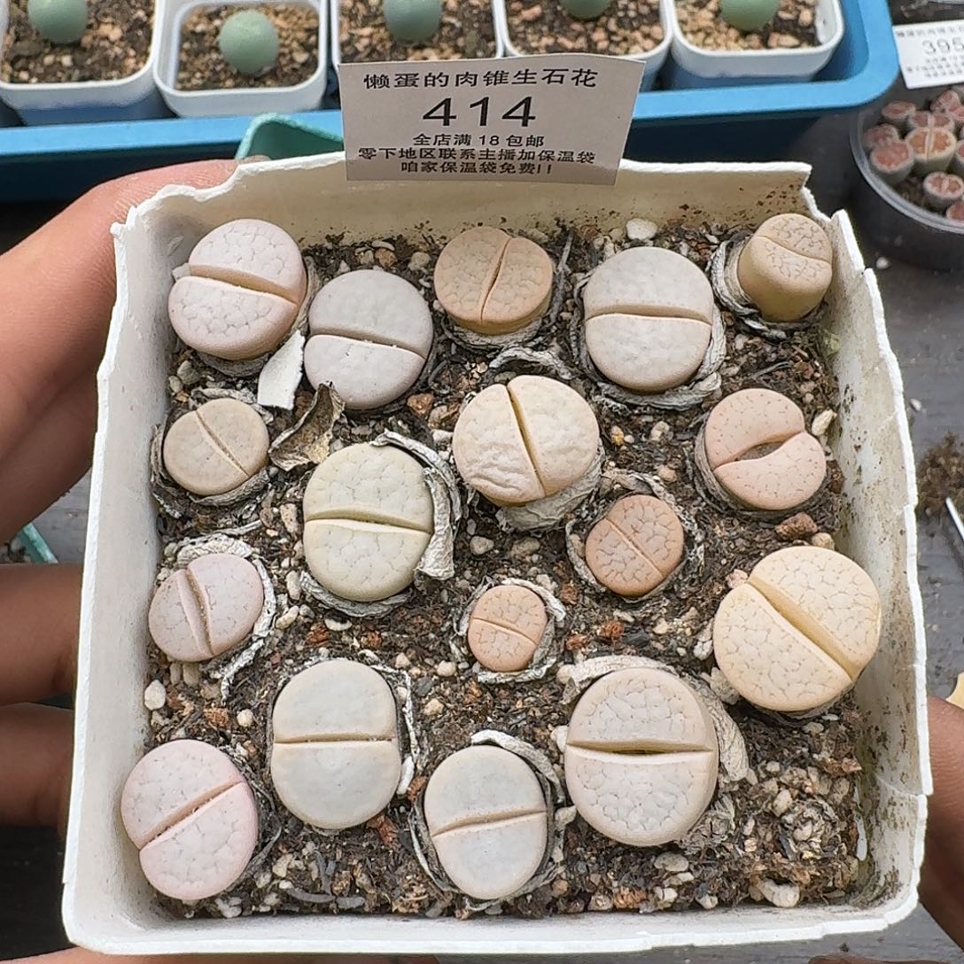 414 满18包邮保温袋联系客服