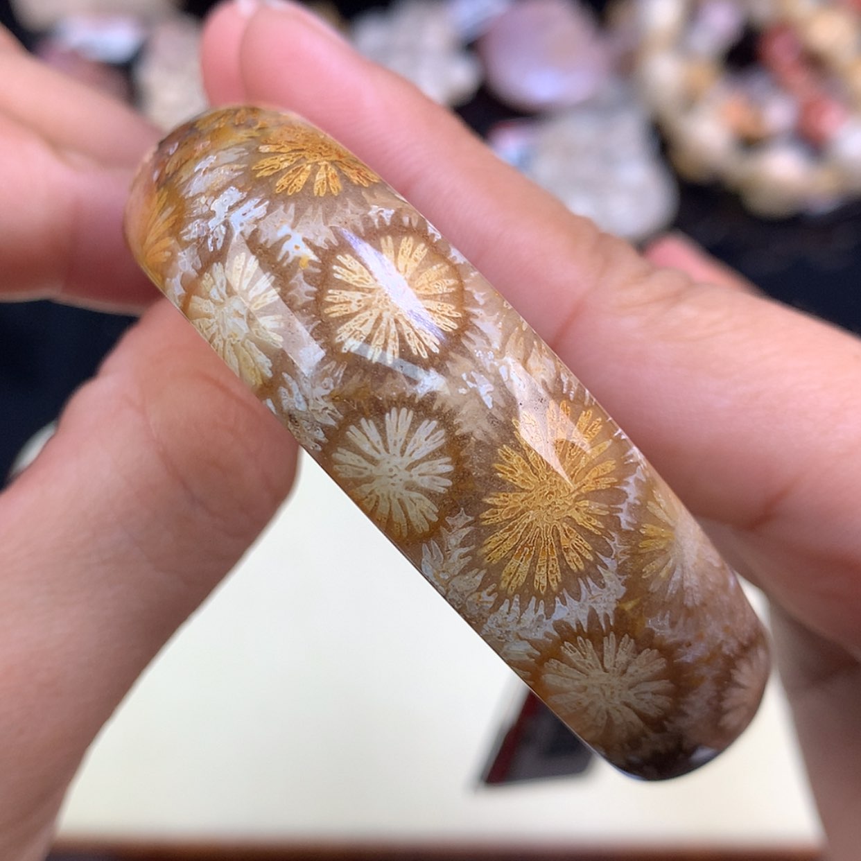 【闪购商品】颈饰未镶嵌硅化珊瑚（珊瑚玉）4号精美赞比54圈