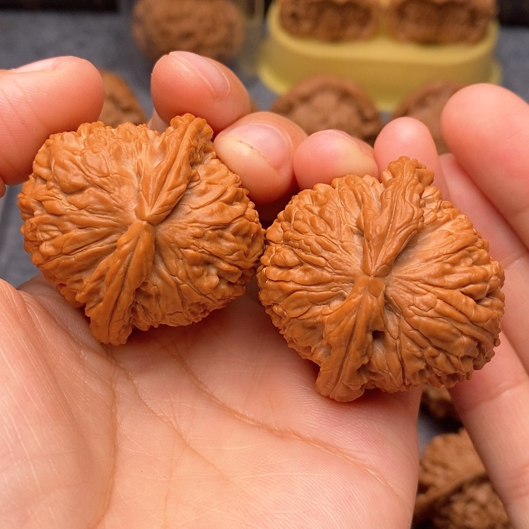 文玩核桃把件白狮子40全品