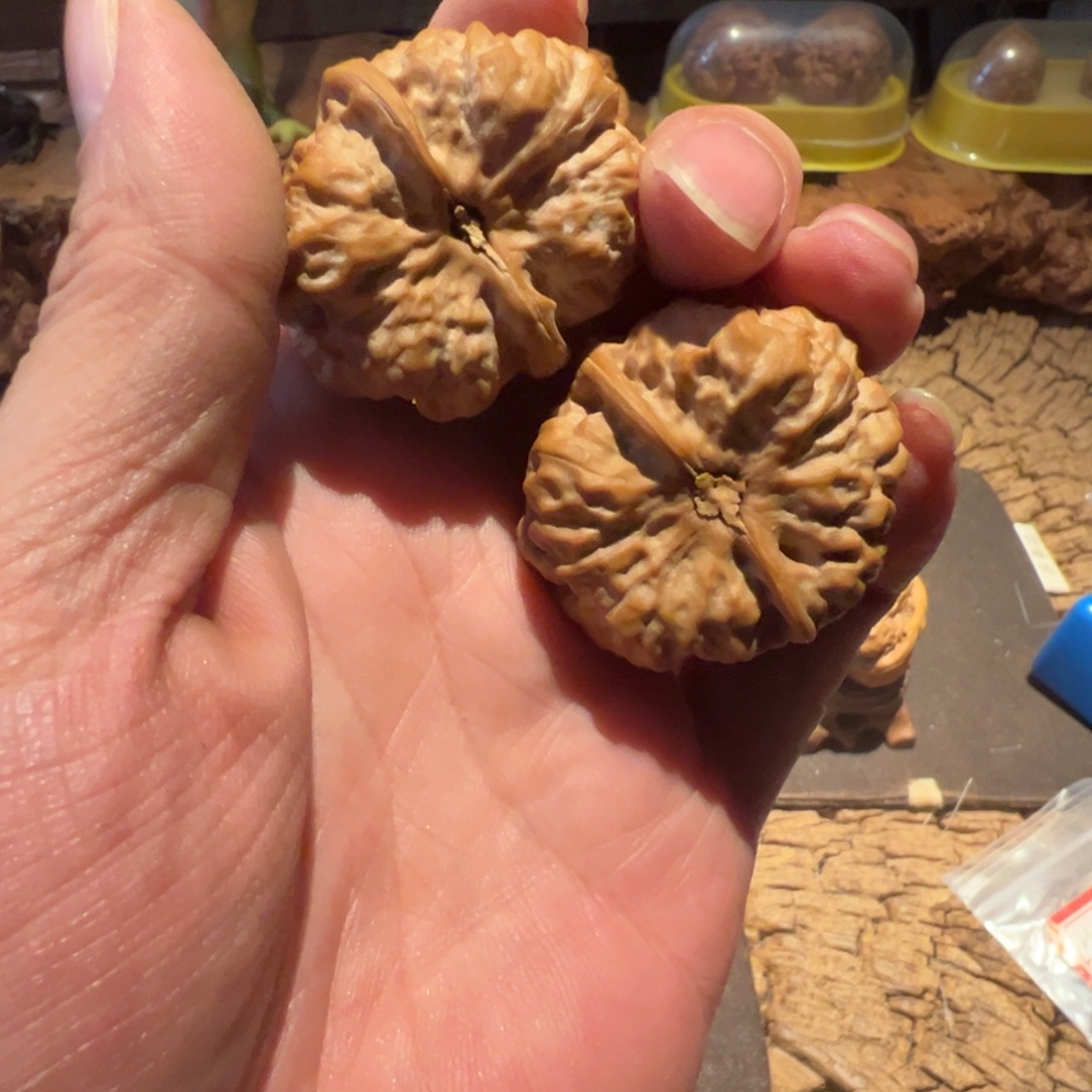 把件文玩核桃文玩核桃精品蛤蟆头