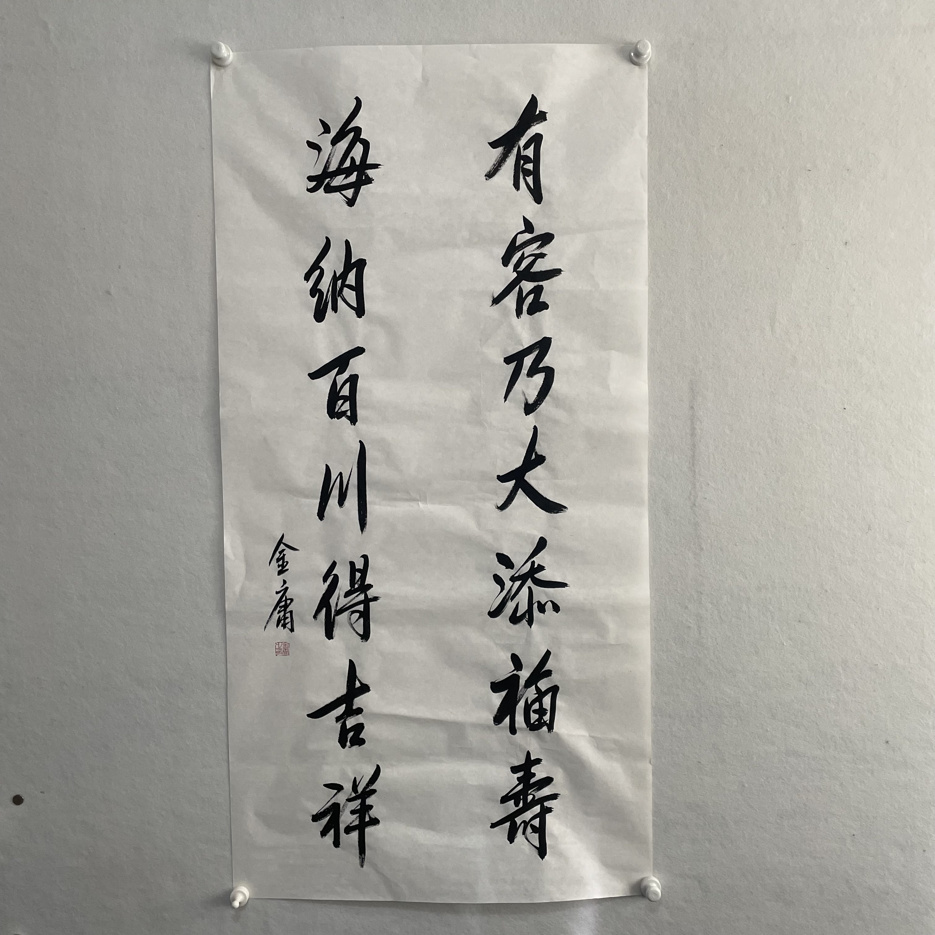 5236 书法 纸本水墨136×68