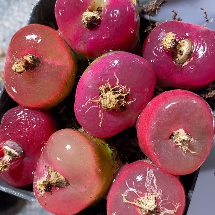 156一组一组一组