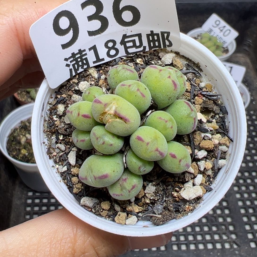 【闪购商品】936…….