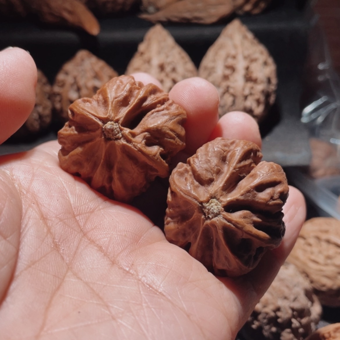 【闪购商品】文玩核桃把件东北楸子6