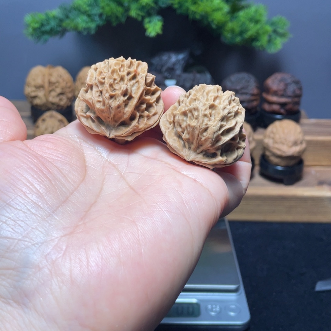 文玩核桃把件云南铁核桃18