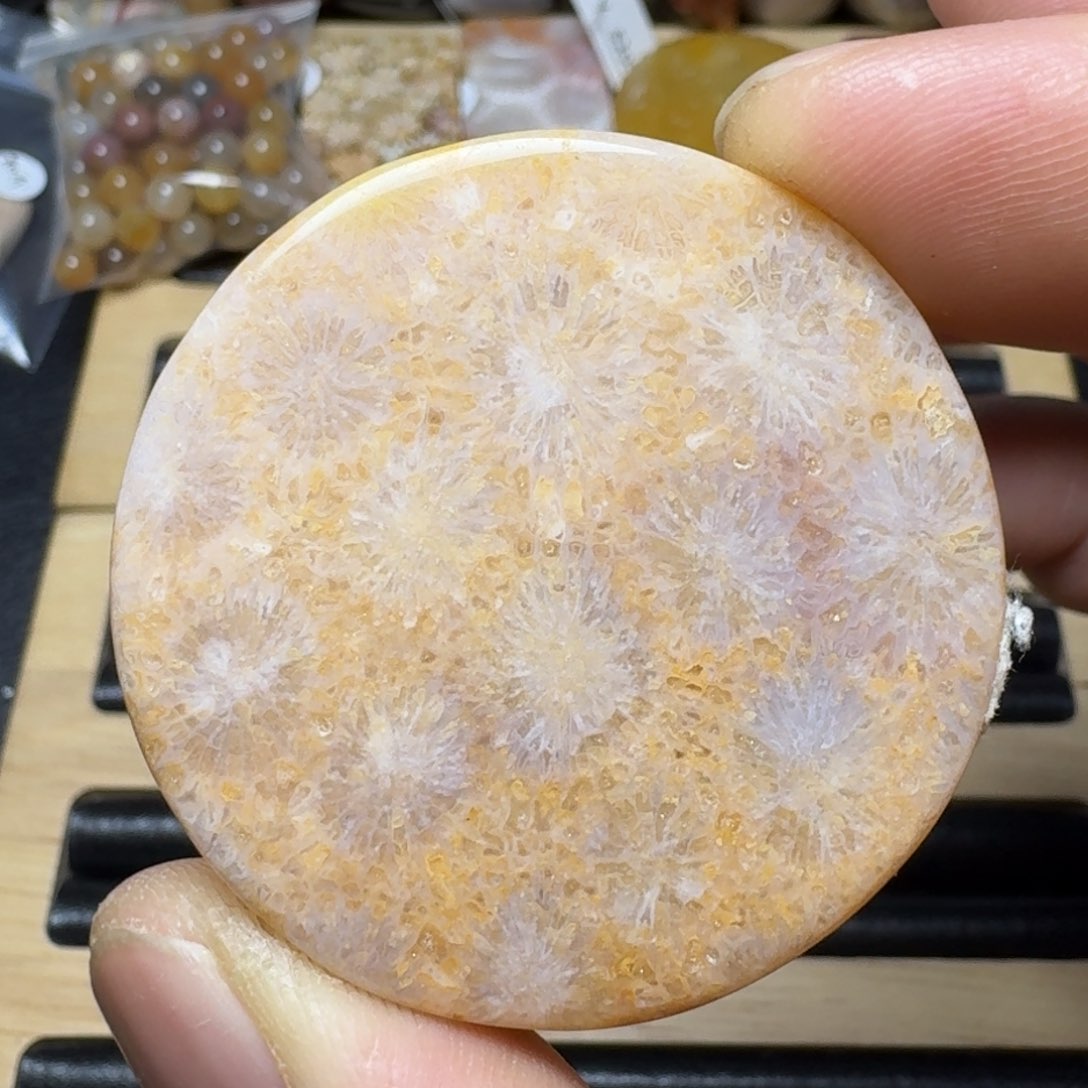 硅化珊瑚（珊瑚玉）纯天然色有机玉石手镯芯未镶嵌