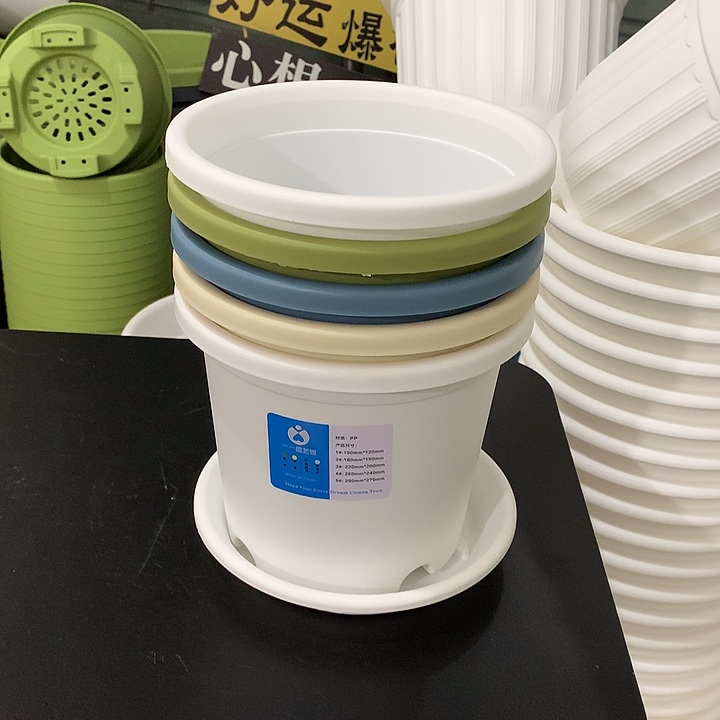 四季口18高15混色5个带托