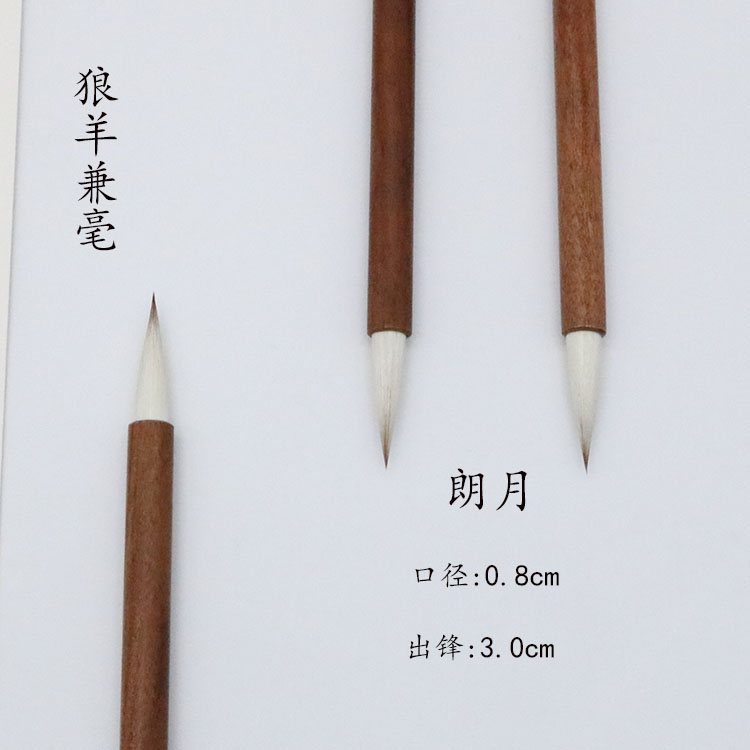 {朗月}高玉生老师直播专属二王赵孟頫行书  拍一发二