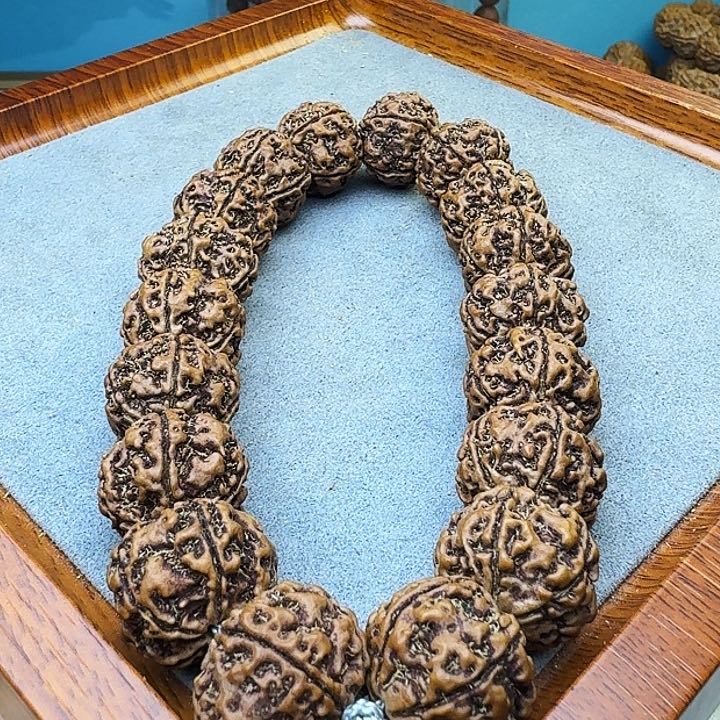 金刚菩提吊坠安娜铁籽