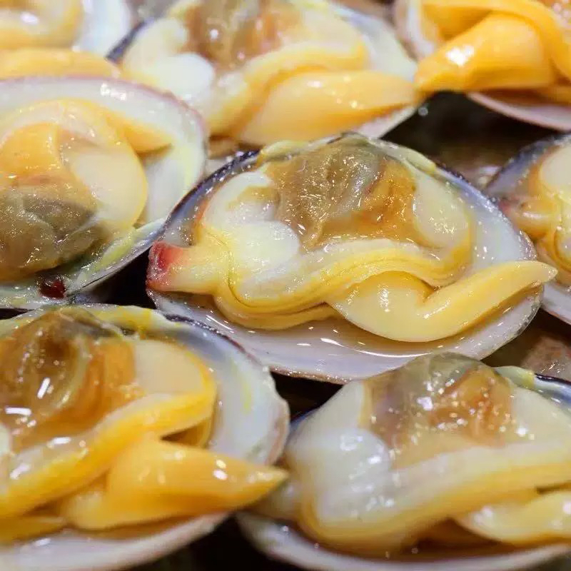 东港野生黄蚬子（净沙率95%）个别有沙 介意勿拍