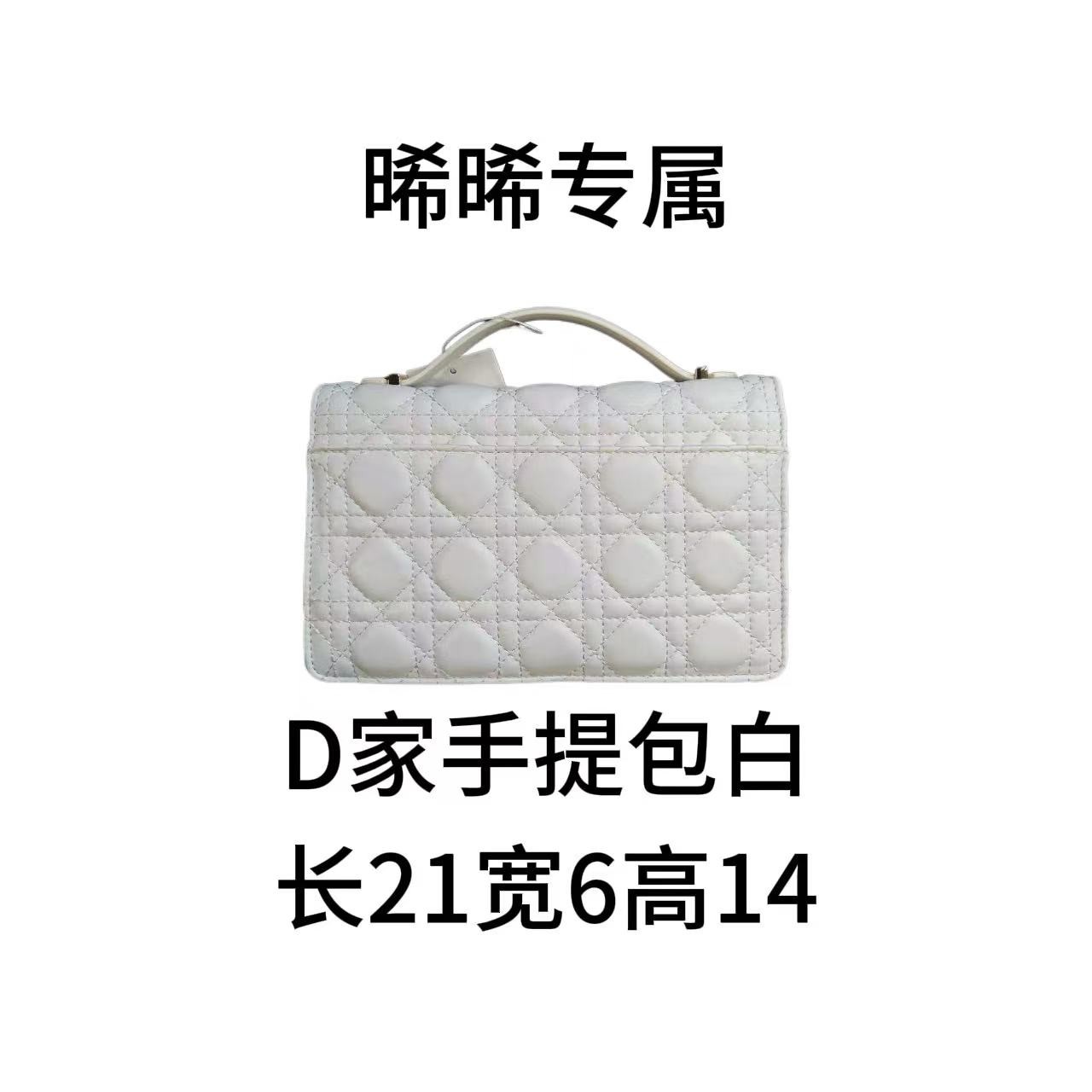 E239 新款百搭女包-1058白