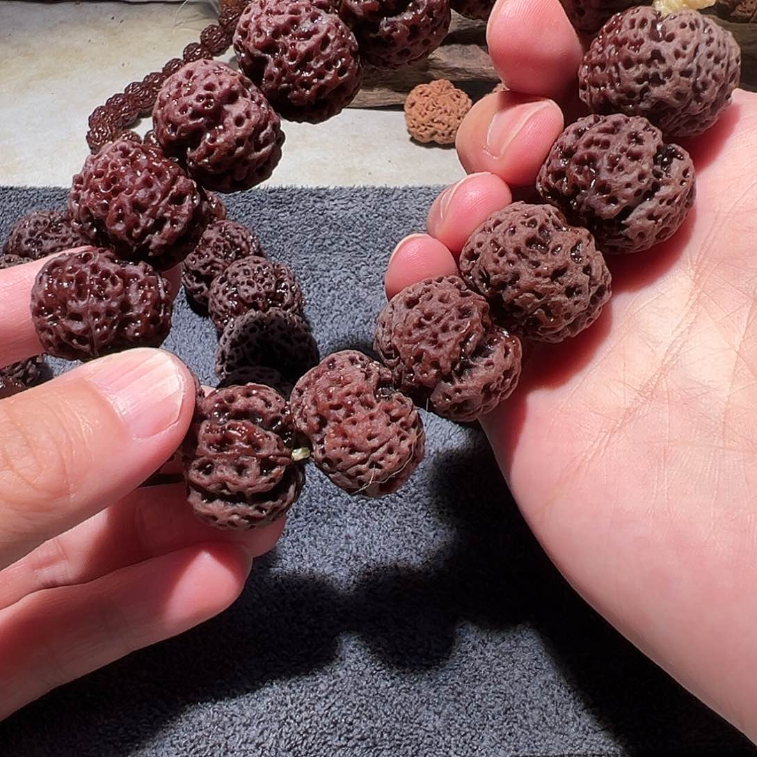 金刚菩提手串毕业蜂王22尺寸左右福利