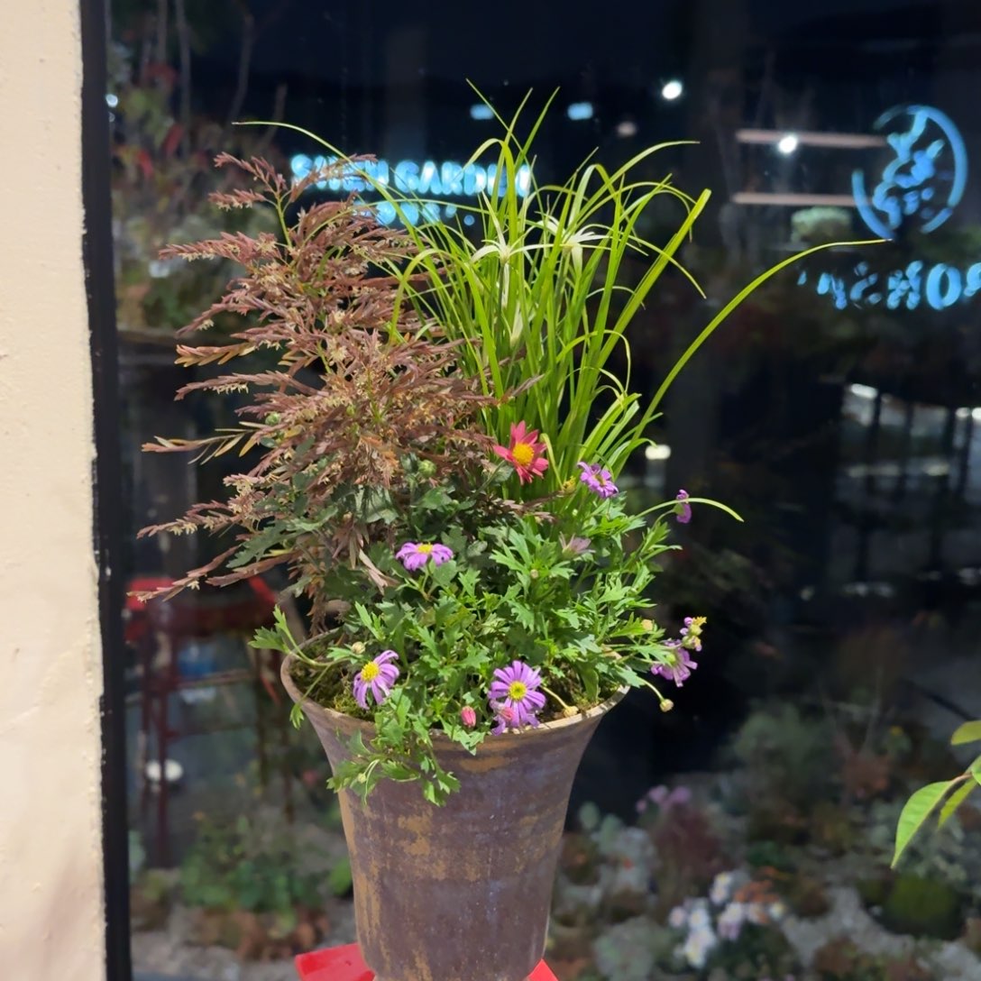 全部花朵山野草手作盆