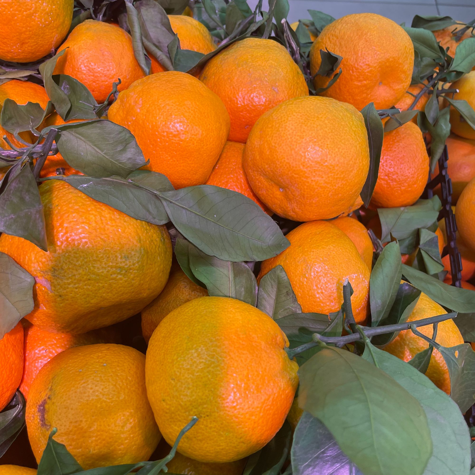 丑桔 3斤左右（水果）四川省