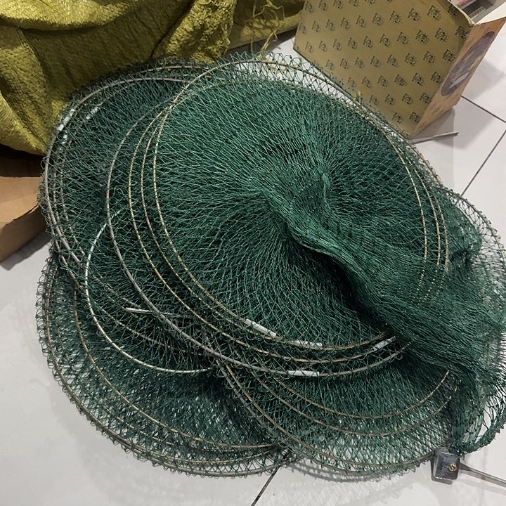 随机发五个绿色小鱼护