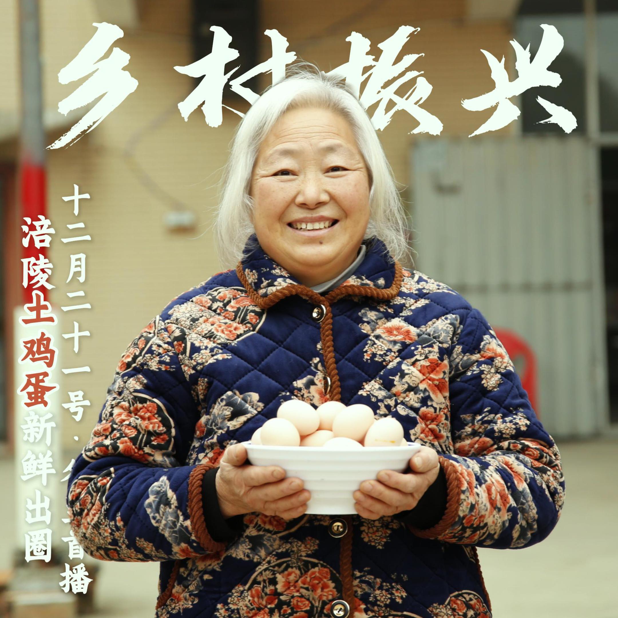 夏书记涪陵土鸡蛋
