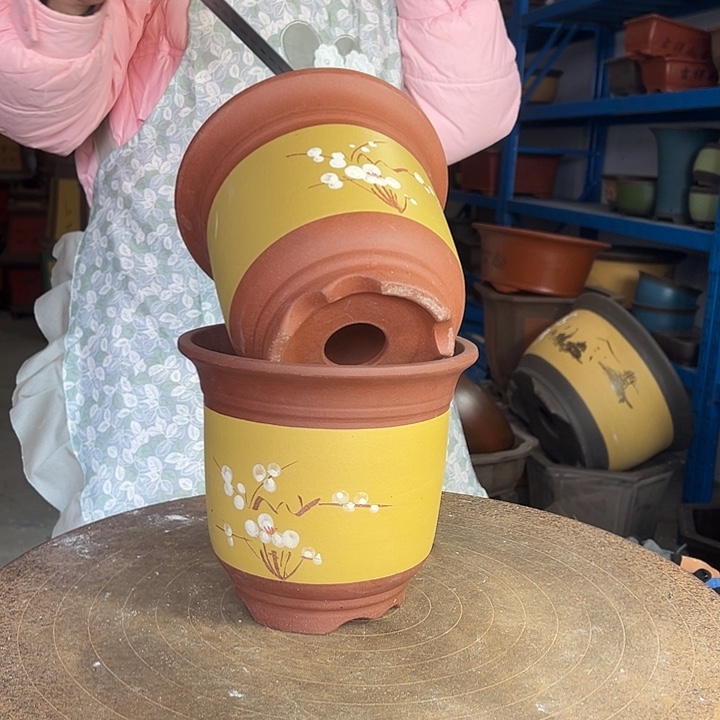黄金钟点菜小一对花盆