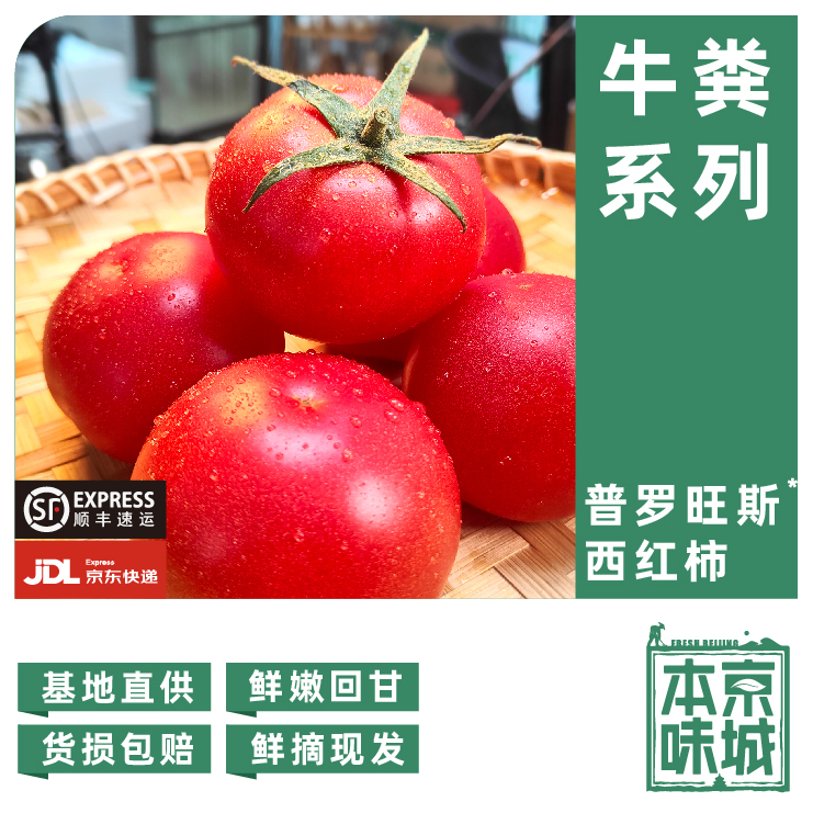 房【绿控系列】450g普罗旺斯西红柿 做菜优选