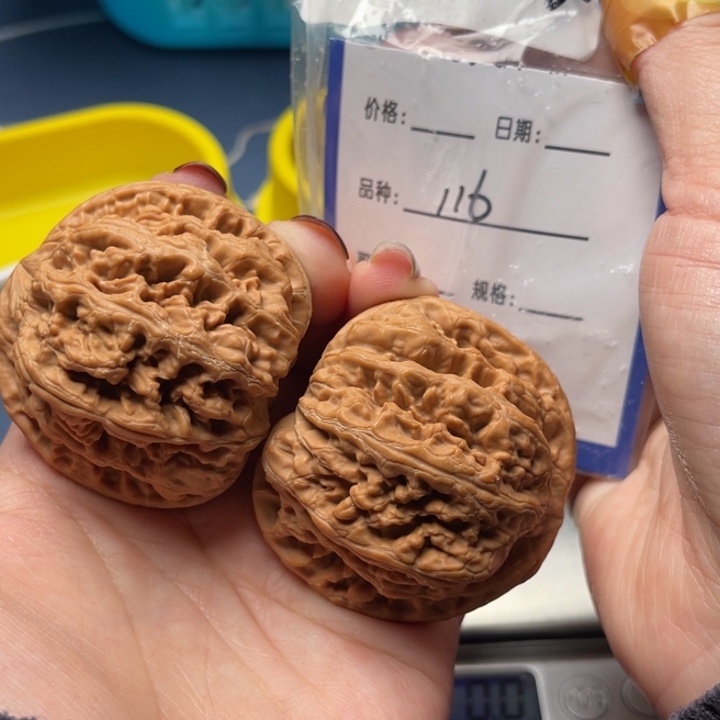 文玩核桃把件粗筋48