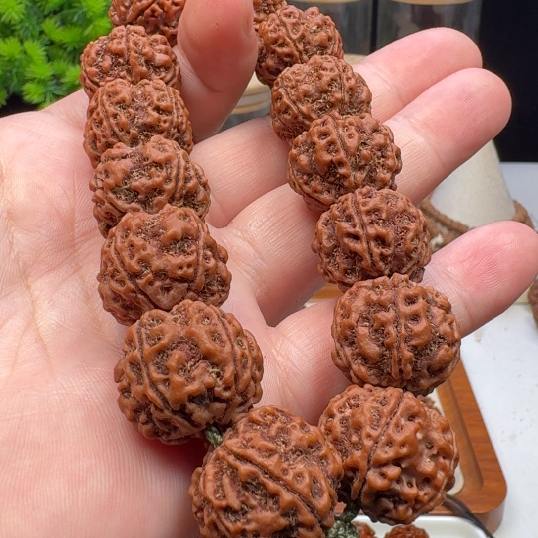 手串金刚菩提梅花双龙