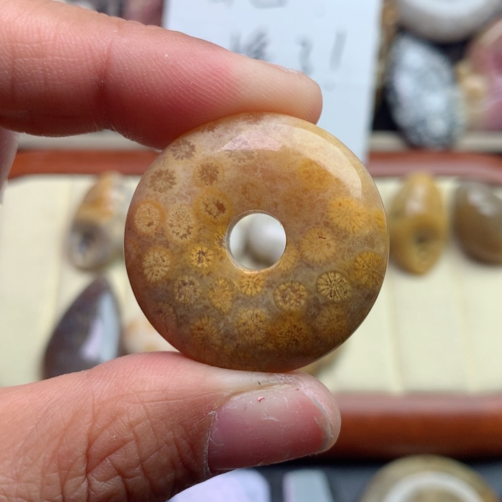 硅化珊瑚（珊瑚玉）颈饰未镶嵌