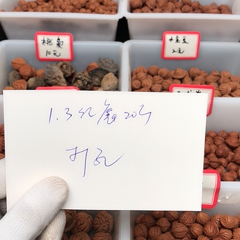 桃核吊坠一**人龙纹桃核的搭配