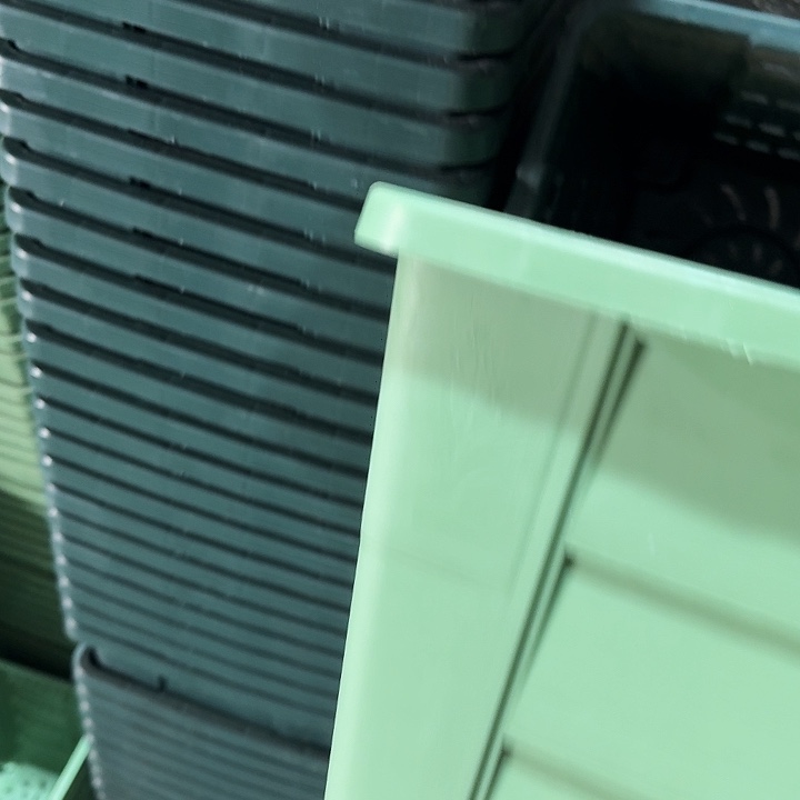 编号403果绿无托4个