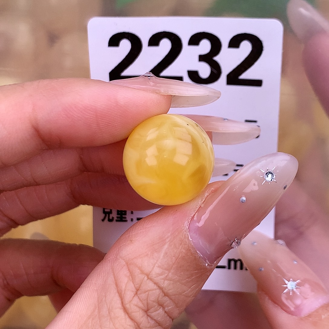 琥珀未镶嵌珠宝奇石15.9 植物