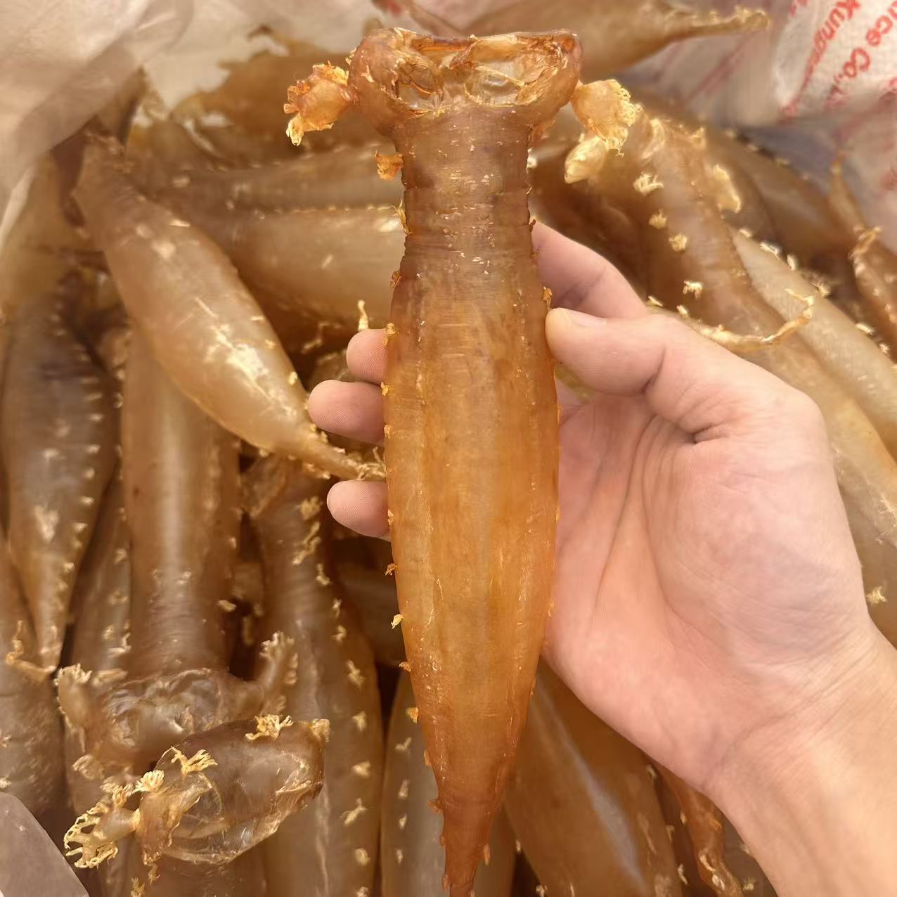 16头刺花赤嘴公筒 250克-500克