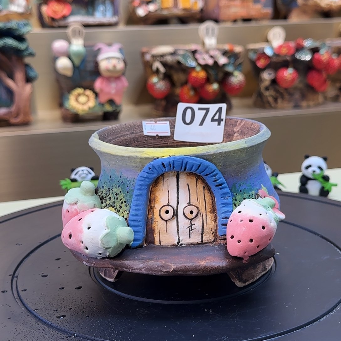 074 【闪购】精致多肉花盆