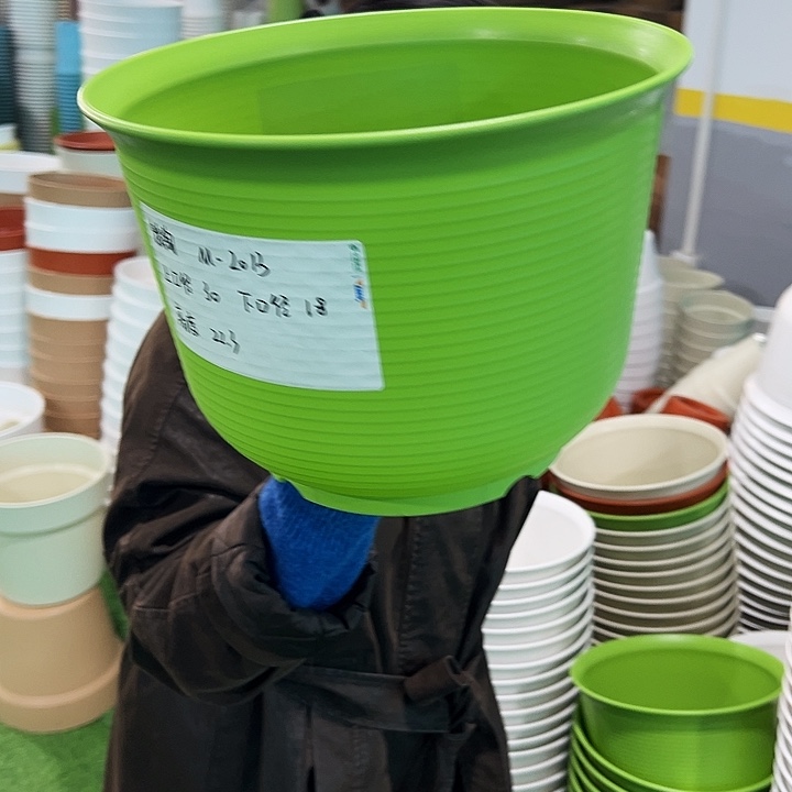 正品矮陶口30高22果绿无托5只