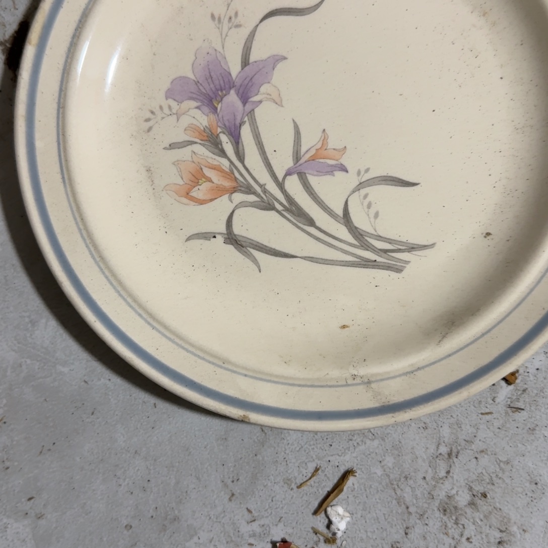 茶盏好了好呀不用回