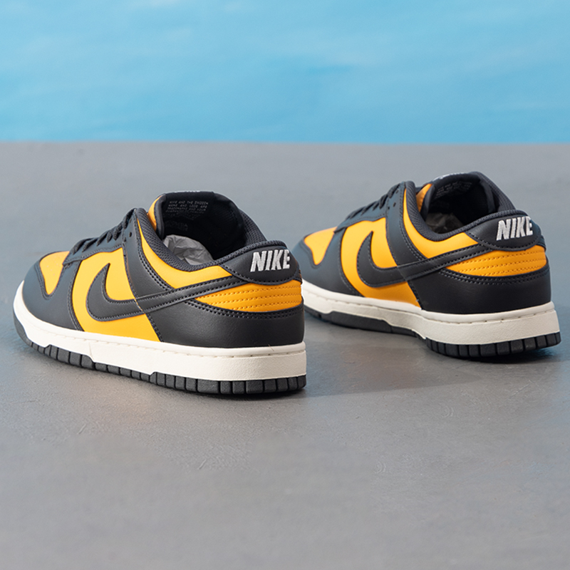 Nike耐克男鞋琥珀流光运动鞋DUNK LOW RETRO低帮板鞋休闲鞋HF5441