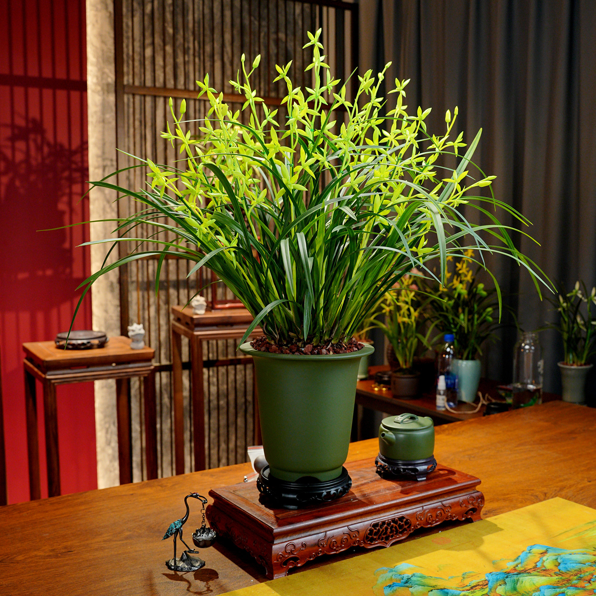建兰铭品【骊山翠荷】带多花苞兰花 宜兴民国绿 泥紫砂盆