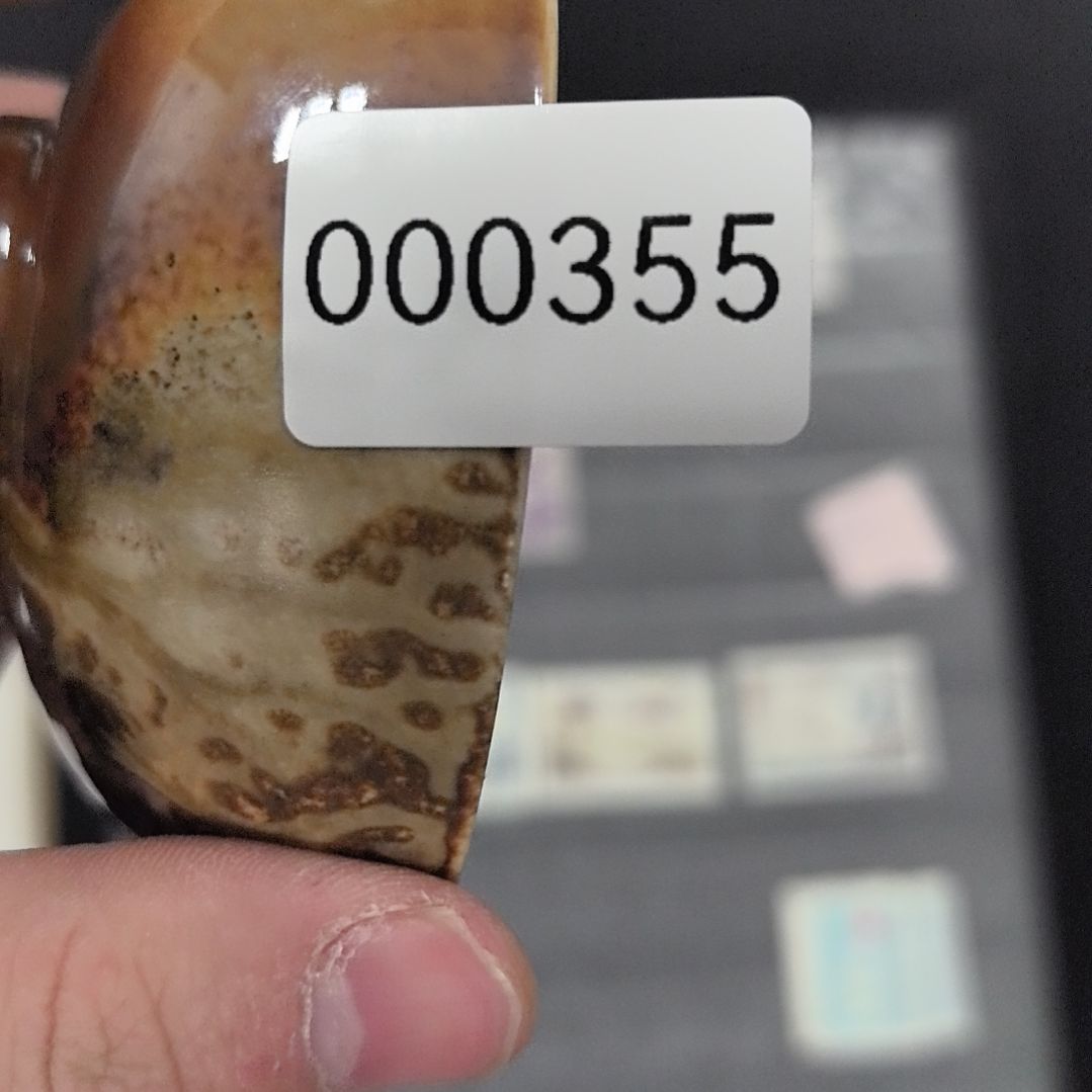 盖碗哦哦哦哦哦哦哦哦偶偶偶偶