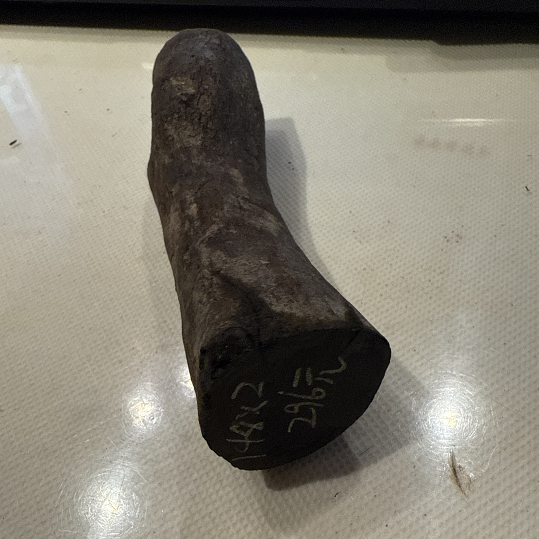 老红木乌木老料296