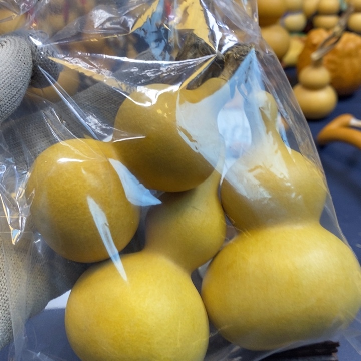 无***北这个时候应该可以