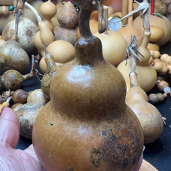 西**爹葫芦葫芦葫芦葫芦