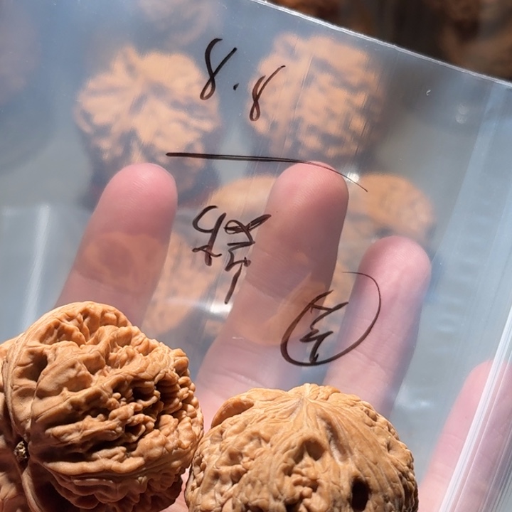 稀***金吊坠文玩核桃粗筋